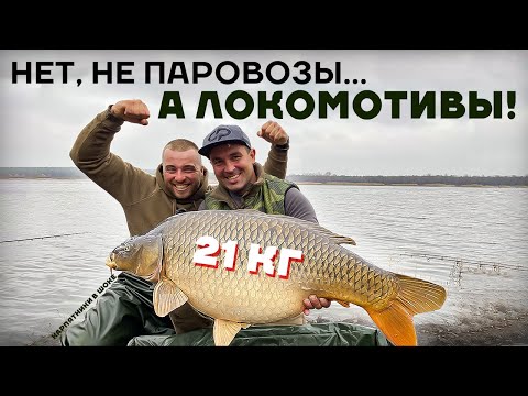 Видео: ЕСЛИ БЫ НЕ УВИДЕЛ - НЕ ПОВЕРИЛ! Ловля Гиганских Карпов.. поклевки ОДНА за ОДНОЙ! Карпфишинг или ФЛЭТ