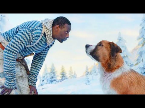 Видео: БҰЛ ТӨБЕТ-ҚАСҚЫРЛАРДЫ ҮЙІРІМЕН БАҒЫНДЫРДЫ / қысқаша кино