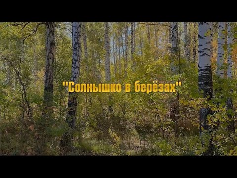 Видео: Солнышко в березах