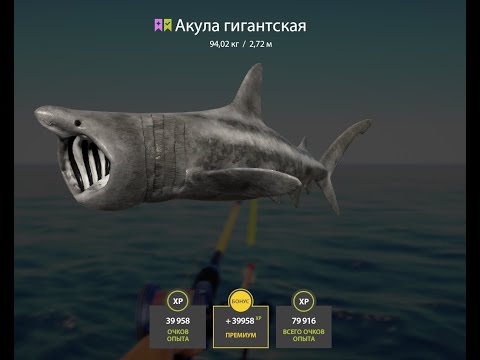 Видео: Русская рыбалка 4 !!!