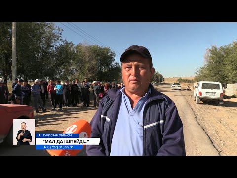 Видео: Қазығұрт халқы мал ішпейтін сумен күн көріп отыр
