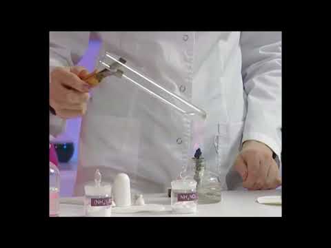 Видео: Аммонийдин туздарынын жегичтер менен аракеттенишүүсү