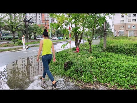 Видео: Люди беспомощны, когда тротуары и водостоки покрыты травой, что приводит к наводнениям.