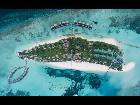 Видео: Вебинар с отелем Noku Maldives!