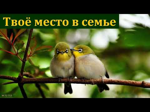 Видео: "Твоё место в семье". С. Бачкала. МСЦ ЕХБ