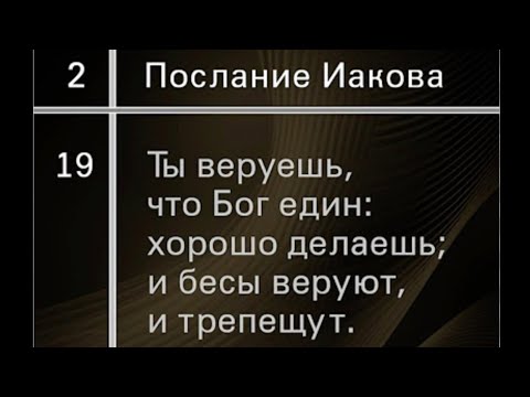 Видео: Размышление на тему