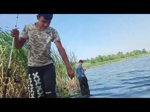 Видео: Рыбалка с ночёвкой с другом на карпа и карася.