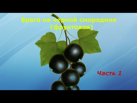Видео: Брага на черной смородине (Часть 1)