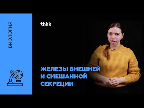 Видео: Железы внешней и смешанной секреции | Биология