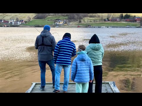 Видео: Пришли за камбалой, а клюнул ПАЛТУС… Рыбалка на донки с берега в Норвегии