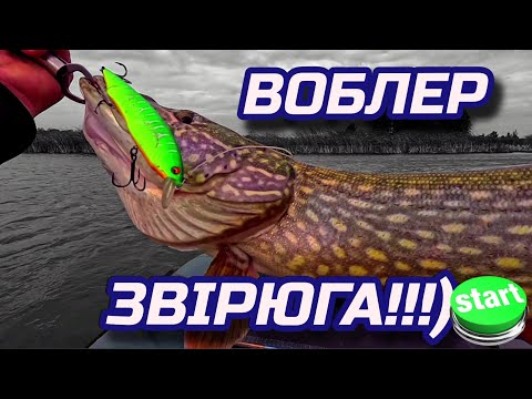 Видео: ✅️📣🔥ВОБЛЕР ЗВІРЮГА🔥📣✅️ KANATA160 BEARKING👍👍👍