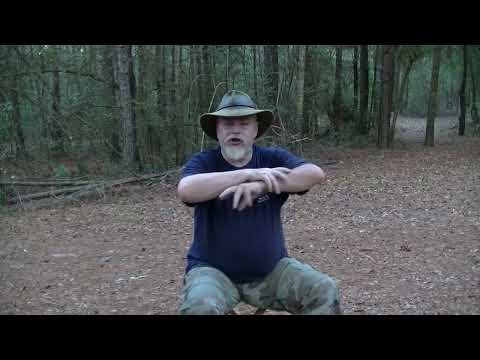 Видео: СЕРЕБРЯНЫЕ ВОЛКИ: Я СДЕЛАЛ ИЗМЕНЕНИЕ, И ВЫ, ВОЗМОЖНО, ТОГО ЖЕ ЗАХОТИТЕ