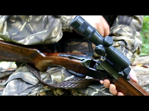 Видео: ИЖ 94.  Ходовая охота.  Жара и заросли.