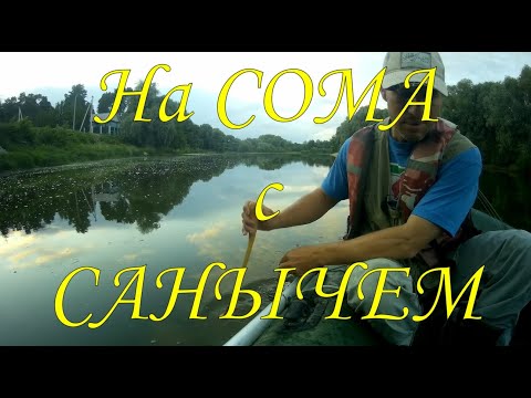 Видео: Ловля на КВОК \  Ловля сома от Приманки до Поклёвки \ #квок #сом #сомнаквок