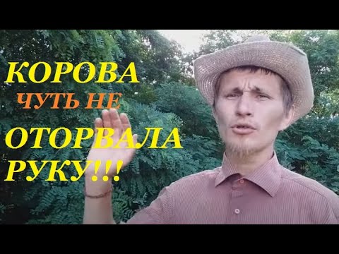 Видео: Корова или коза? Кого выбрать? Молочное скотоводство.