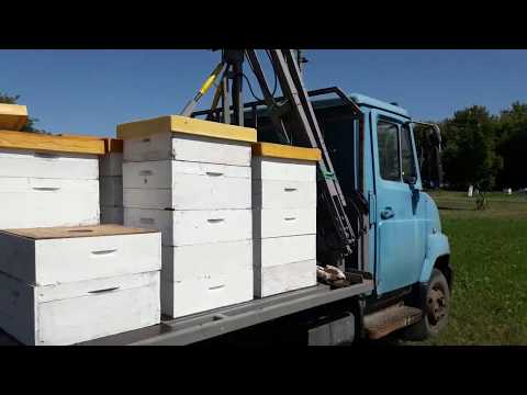 Видео: Спешим снимать мед...скоро закорм