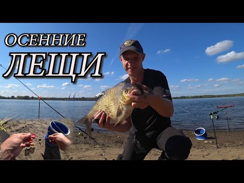 Видео: Лещи-кабаны! Ловля крупного ЛЕЩА осенью на макароны! Донки, фидер