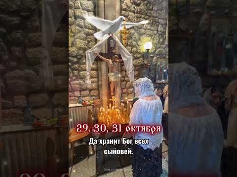 Видео: 🎁Получите добрую весть👈