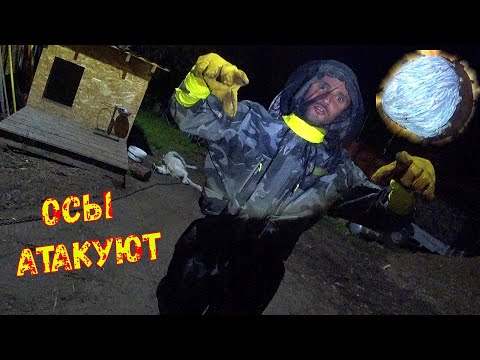 Видео: Жесть!Напали ОСЫ /как избавиться от осиного гнезда/ночное видео от первого лица.