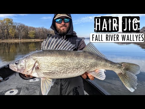 Видео: На волосяные блесны ловится БОЛЬШОЙ судак на реке Фолл-Ривер!
