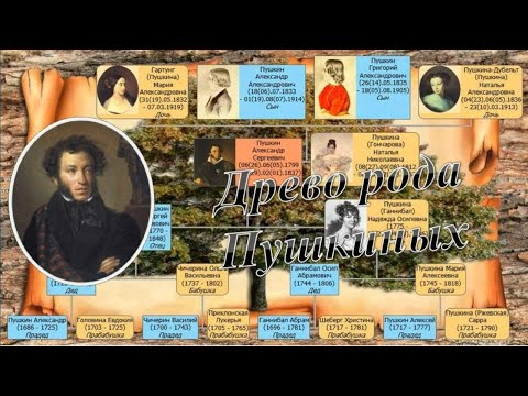 Видео: "Древо рода Пушкина"