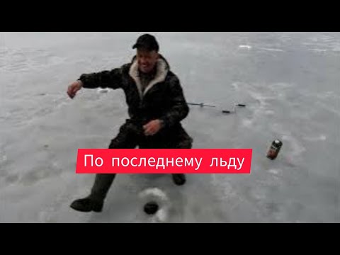 Видео: За окунем по последнему льду.