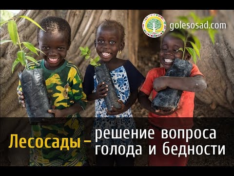 Видео: Лесосады - решение проблем голода и бедности.