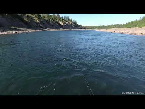 Видео: Рыбалка на хариуса. Водомет Yamaha30 Солар420 Норильск июль 2020