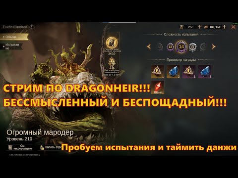 Видео: Dragonheir: Silent Gods | Тестовый сервер - сутки до старта