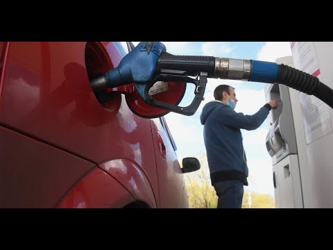 Видео: КЫРГЫЗСТАНДА КҮЙҮҮЧҮ МАЙДЫН БААСЫ КАЙРАДАН ӨСҮҮДӨ