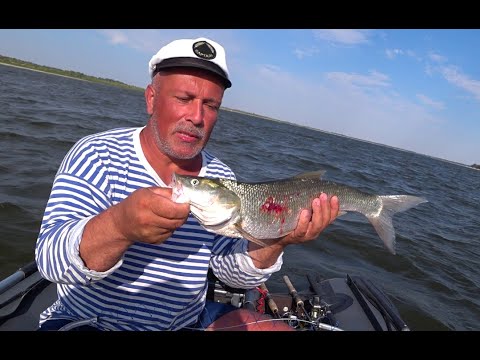 Видео: Отдых и рыбалка на Волге!!! Клёв, Закат, Релакс !!!