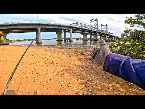 Видео: Ловля рыбы на приманку с этого моста! Удивительные результаты!