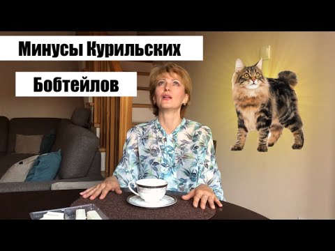 Видео: КУРИЛЬСКИЙ БОБТЕЙЛ //СТОИТ ЛИ ЗАВОДИТЬ? // мой опыт