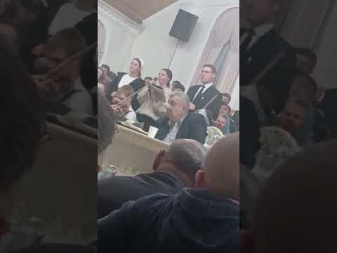 Видео: Богар