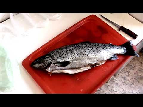 Видео: Гельминты есть?