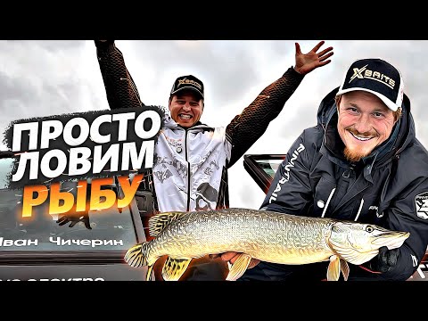 Видео: КАЙФОВАЯ РЫБАЛКА ДОМА | Just catching some fish