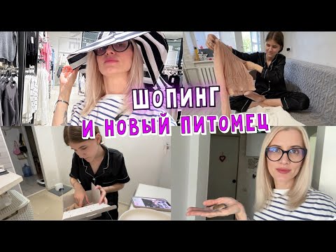 Видео: Уехала на шопинг. Очень милые обновки. Нашла мышонка - НОВЫЙ ПИТОМЕЦ.