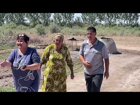 Видео: Шымбай совхоз АННА ауылына келин келди