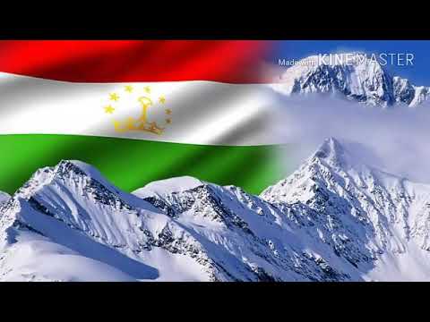 Видео: Хама темам хдш