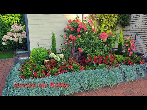 Видео: Клумба перед домом/ новая клумба - обзор!