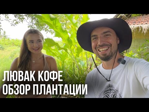 Видео: Лювак кофе на Бали: Истории, дегустация и кофейные тайны
