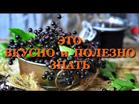 Видео: #55 Настойка "РЯБИНА ЧЕРНОПЛОДНАЯ" - тот самый случай когда ВКУСНО и ПОЛЕЗНО