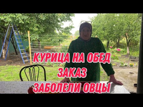 Видео: Курица на обед | заказ | заболели овцы