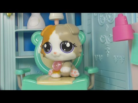 Видео: LPS ГОСТЬЯ ИЗ ПРОШЛОГО 7 серия