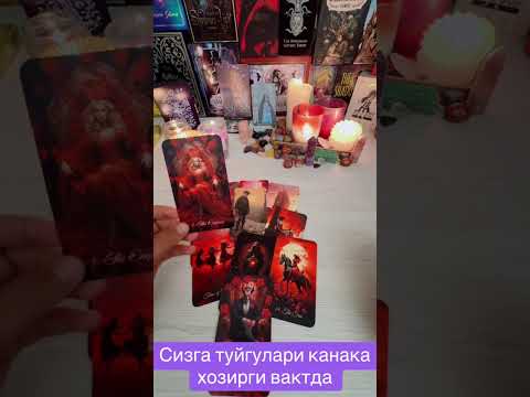 Видео: Хозирда сизга болган туйгулари♥️🫶 #карта #картыдлягадания 