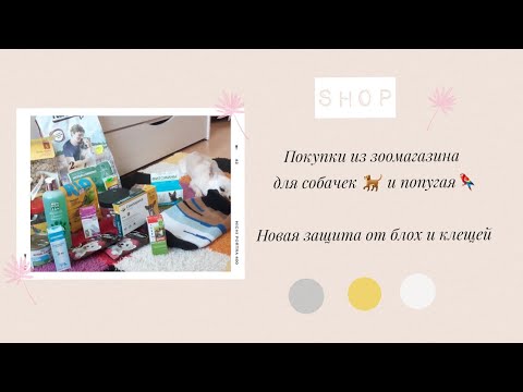 Видео: Покупки из зоомагазина для собачек🐕 и Кеши🦜/ новая защита от блох и клещей))🐶