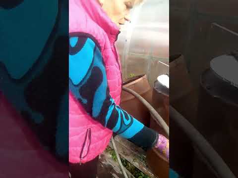 Видео: Осенние дела,готовим участок к зиме.
