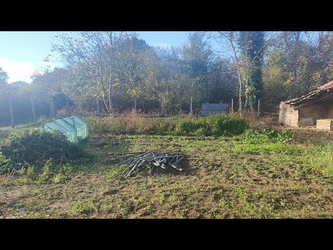Видео: Октомврийски ден с нас на село