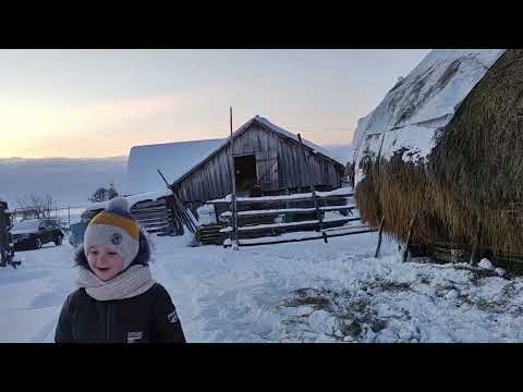 Видео: Деревенские будни. Убираем сено в сарай со стога. Деревенская жизнь