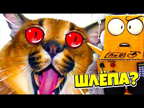 Видео: 5 НОЧЕЙ С ШЛЕПОЙ! САМАЯ СТРАШНАЯ ИГРА В МИРЕ Five Nights at Floppa